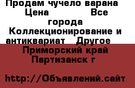 Продам чучело варана. › Цена ­ 15 000 - Все города Коллекционирование и антиквариат » Другое   . Приморский край,Партизанск г.